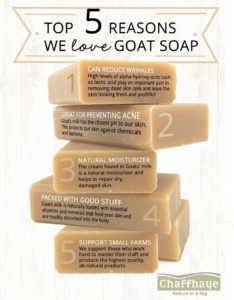 5 Reasons We LOVE Goat Soap
