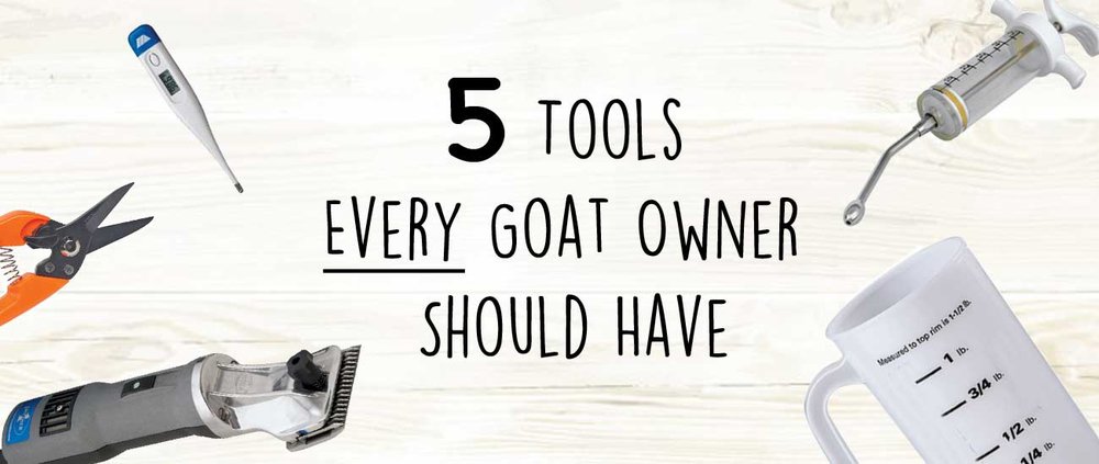 5 Tools That Every Goat Owner Should Have