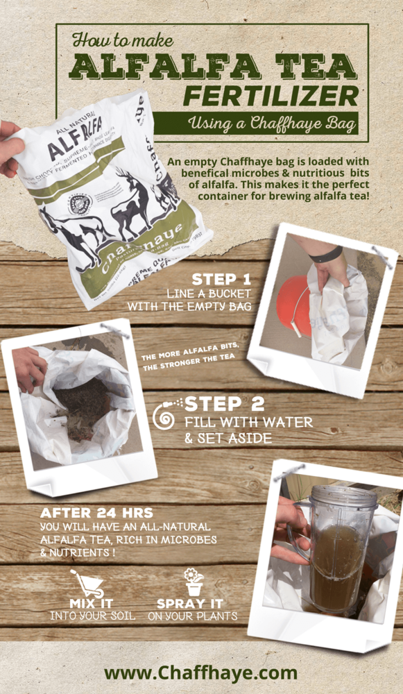 How to Make Alfalfa Tea With a Chaffhaye Bag